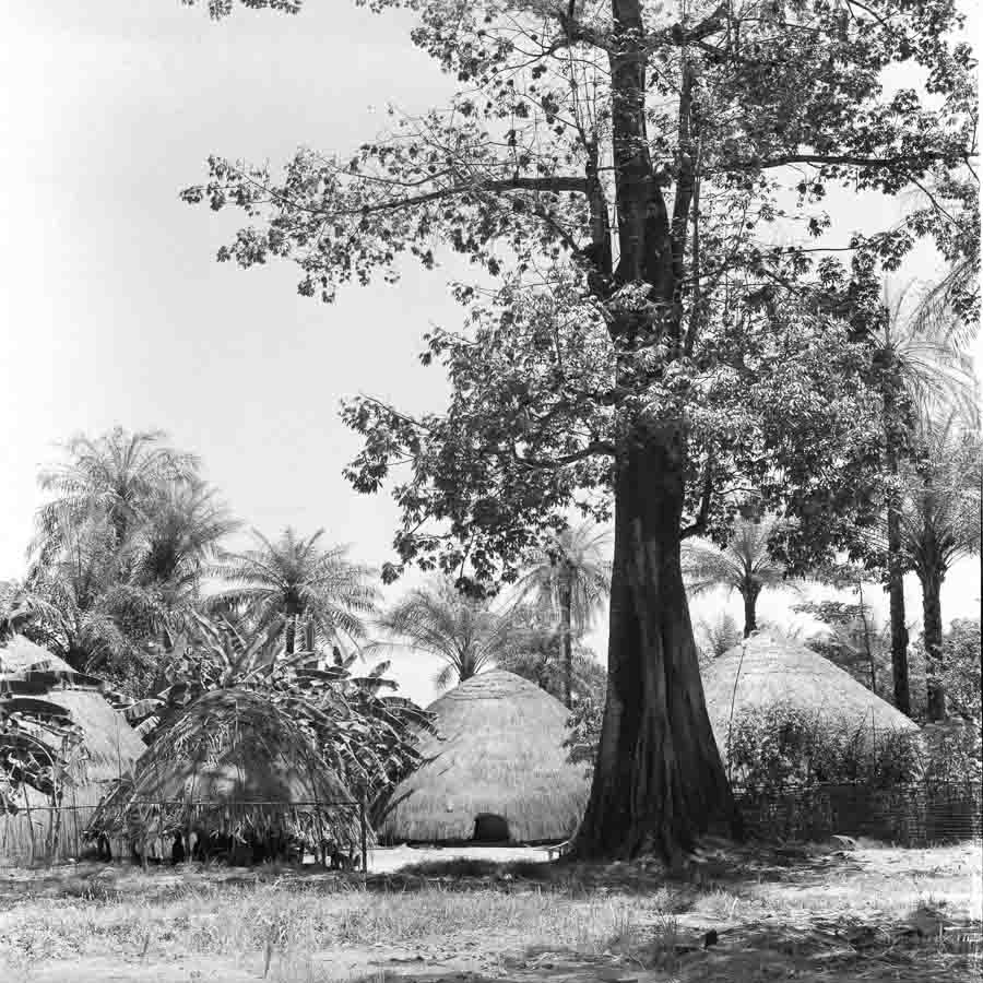 Fernando Schiappa de Campos, 1959 Morança do Régulo de Chulame