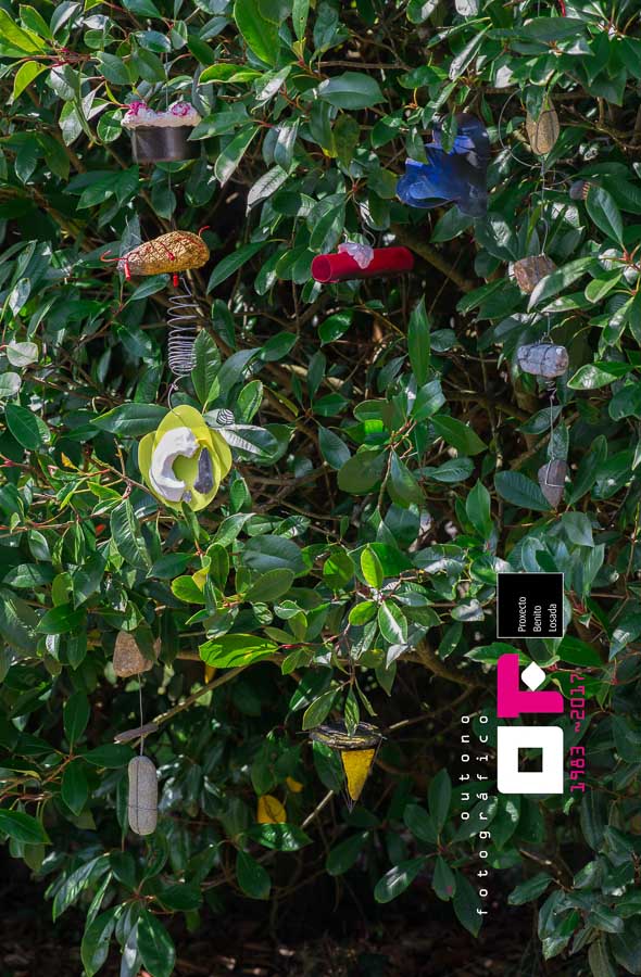 © Exposição de Memória - Outono Fotografico1