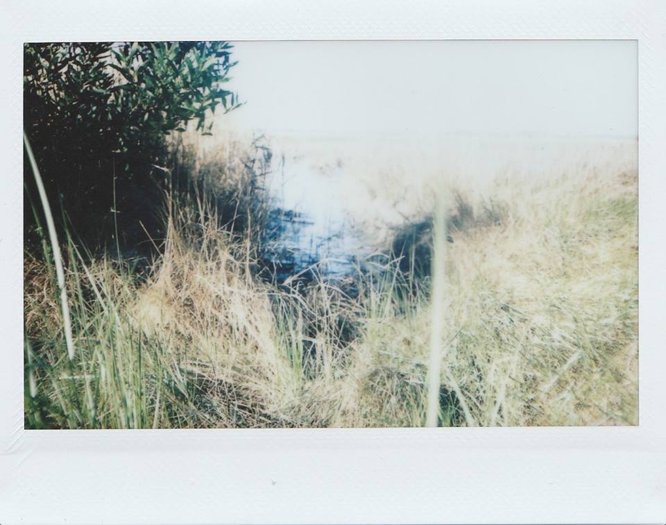 MARIANA MARTINS DE OLIVEIRA