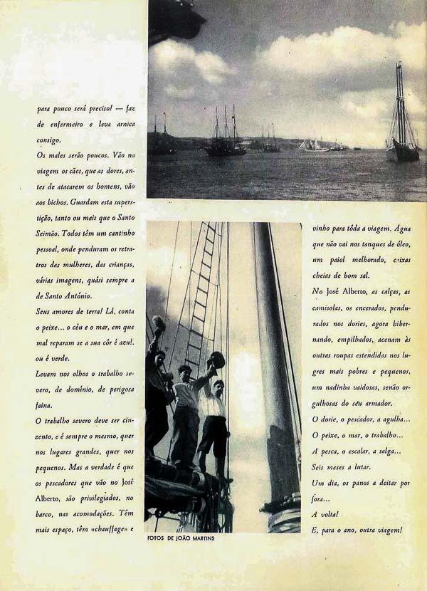 Joao_Martins-Panorama (3)