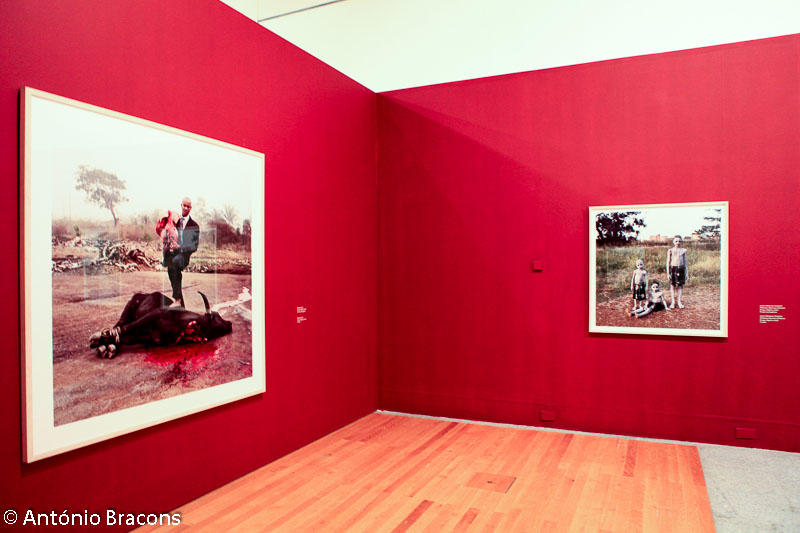 Lisboa-Museu_Col_Berardo-Pieter_Hugo-Fot_A_Bracons (13)