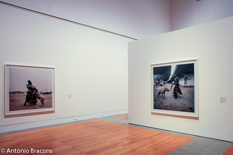 Lisboa-Museu_Col_Berardo-Pieter_Hugo-Fot_A_Bracons (15)