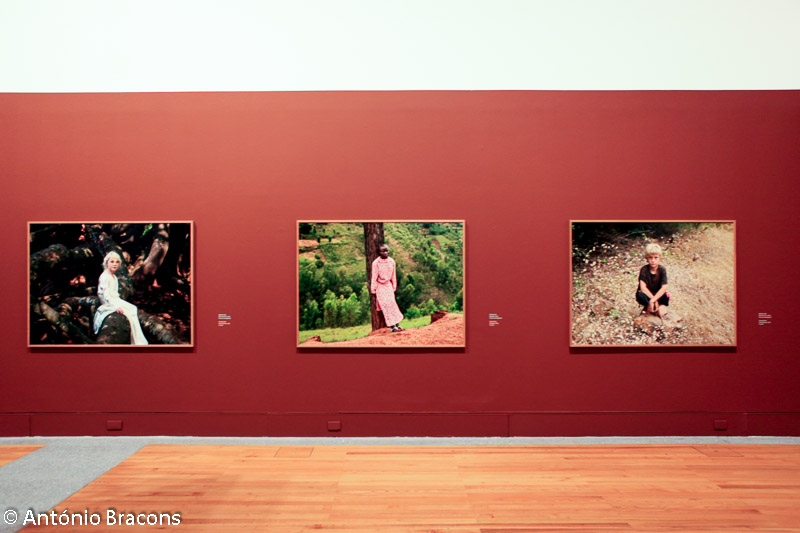 Lisboa-Museu_Col_Berardo-Pieter_Hugo-Fot_A_Bracons (2)