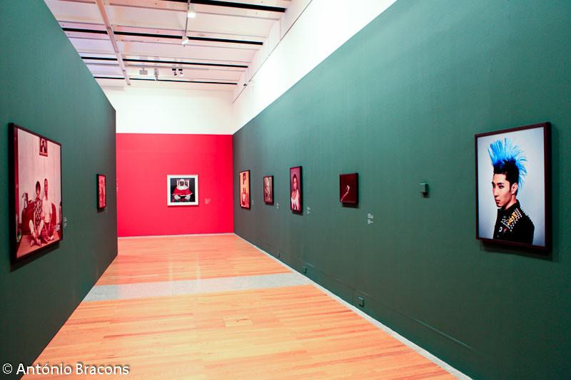 Lisboa-Museu_Col_Berardo-Pieter_Hugo-Fot_A_Bracons (5)