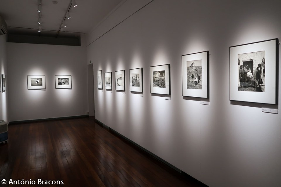 181124-AMLF-9Feira_Livro_Fotografia_Lisboa-Fot_Antonio_Bracons (61)