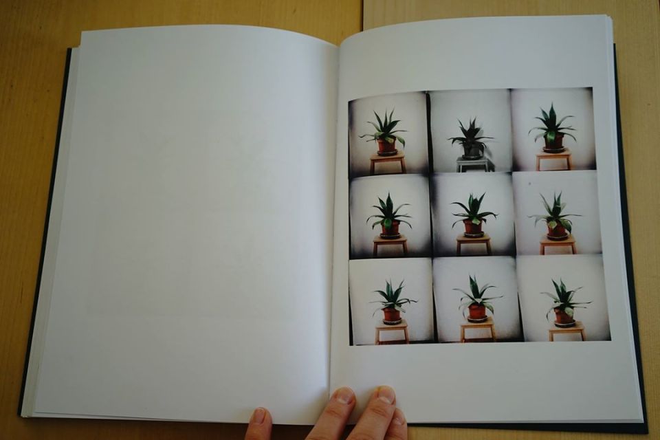 D2-Alicja Kwiatkowska