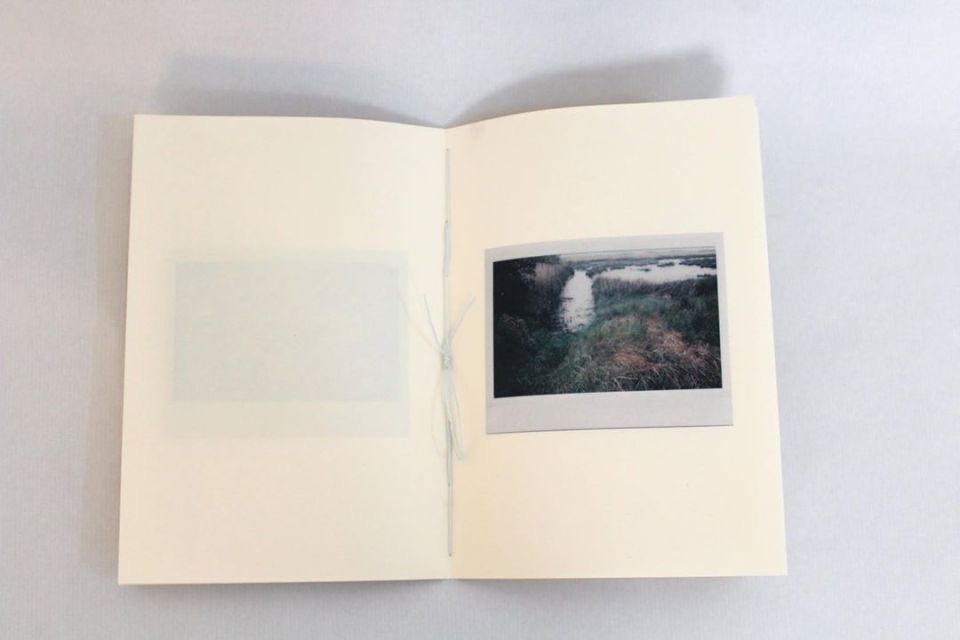 D20-Mariana Martins de Oliveira