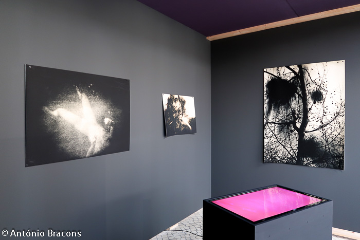 Parallel_Review_Lisbon-201811-Fot_A_Bracons (12)