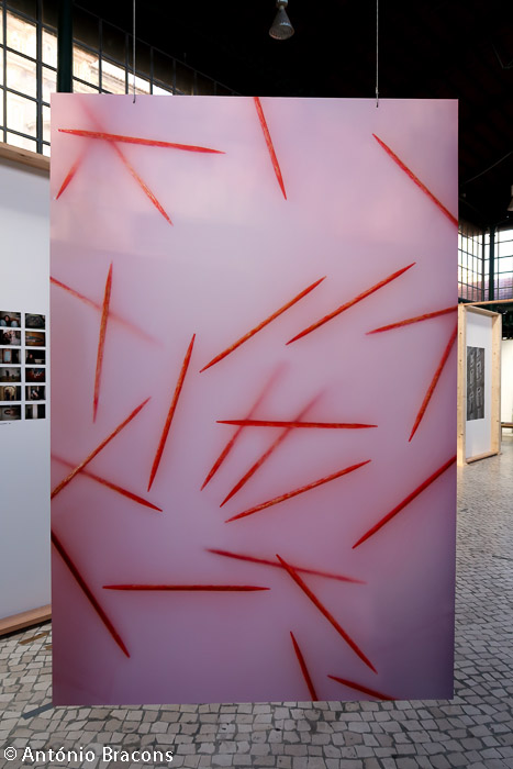 Parallel_Review_Lisbon-201811-Fot_A_Bracons (18)