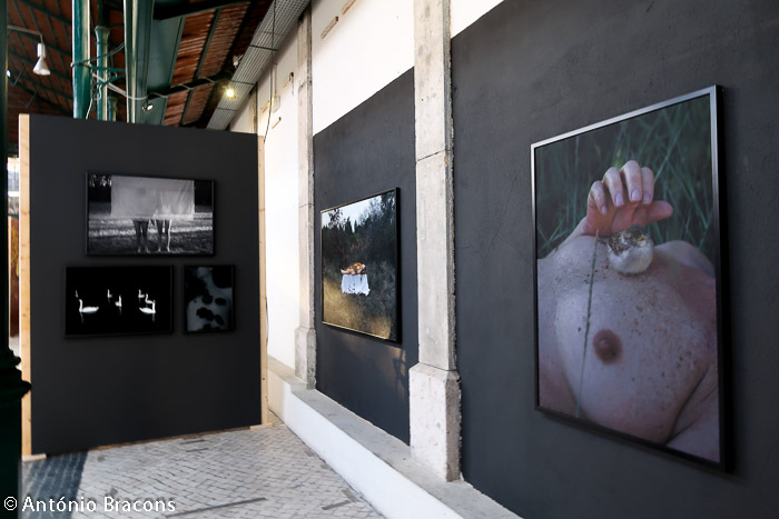 Parallel_Review_Lisbon-201811-Fot_A_Bracons (22)