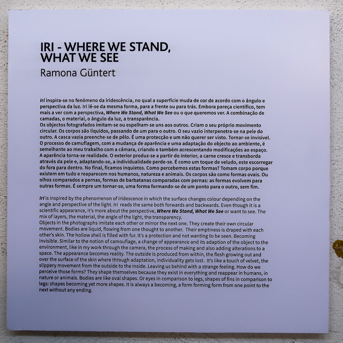 Parallel_Review_Lisbon-201811-Fot_A_Bracons (28)