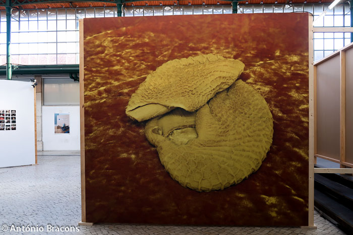 Parallel_Review_Lisbon-201811-Fot_A_Bracons (30)