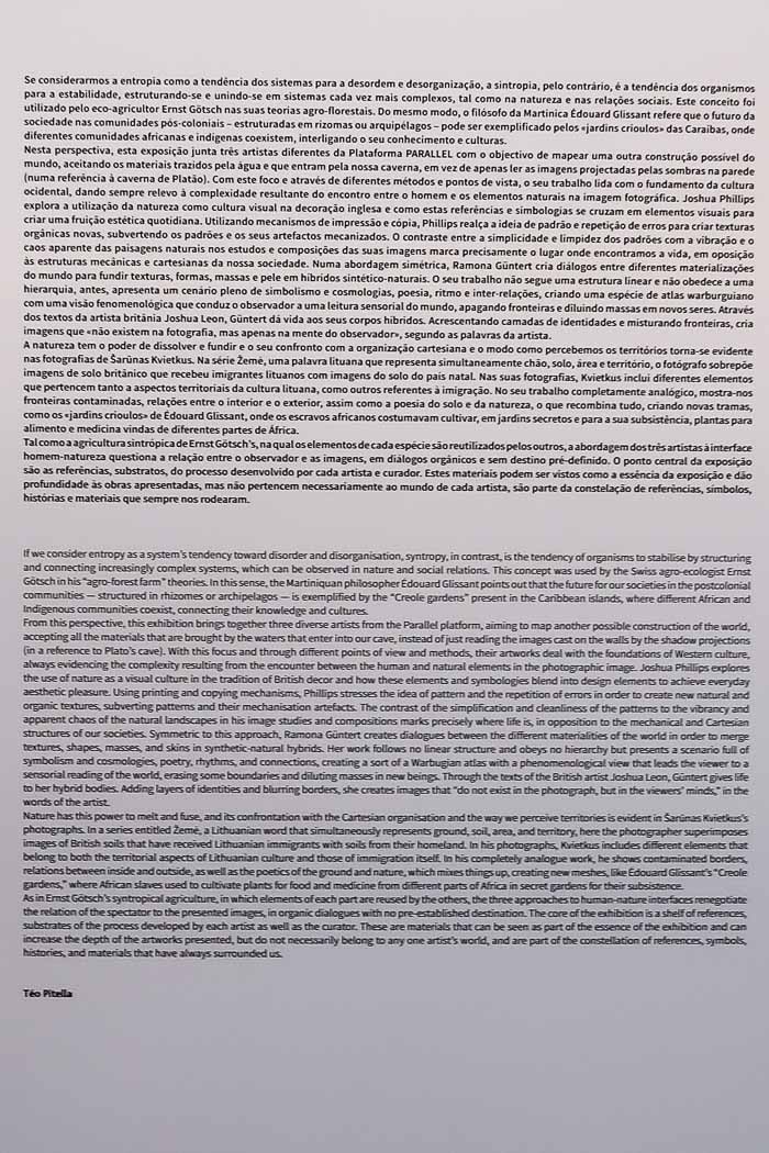 Parallel_Review_Lisbon-201811-Fot_A_Bracons (31-1).jpg