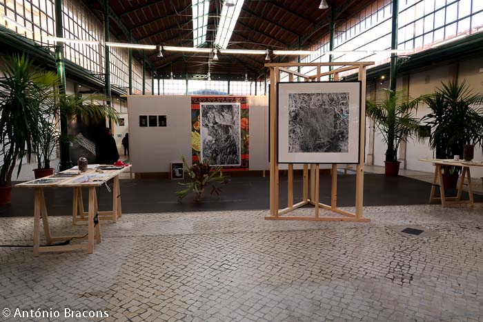 Parallel_Review_Lisbon-201811-Fot_A_Bracons (33)