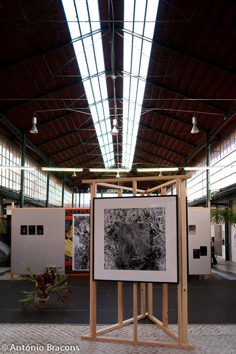 Parallel_Review_Lisbon-201811-Fot_A_Bracons (34)