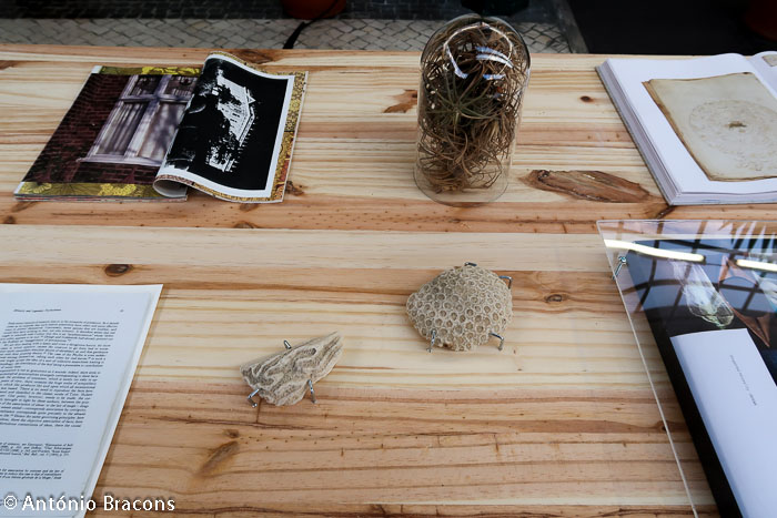 Parallel_Review_Lisbon-201811-Fot_A_Bracons (38)