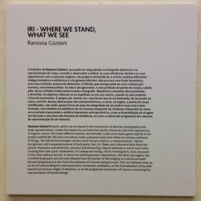 Parallel_Review_Lisbon-201811-Fot_A_Bracons (48)