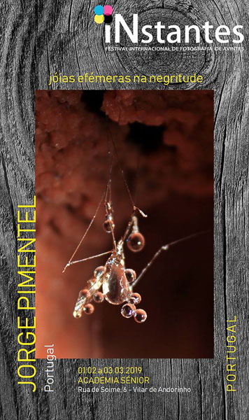 49864636_1569557416481047_1149447026388238336_n