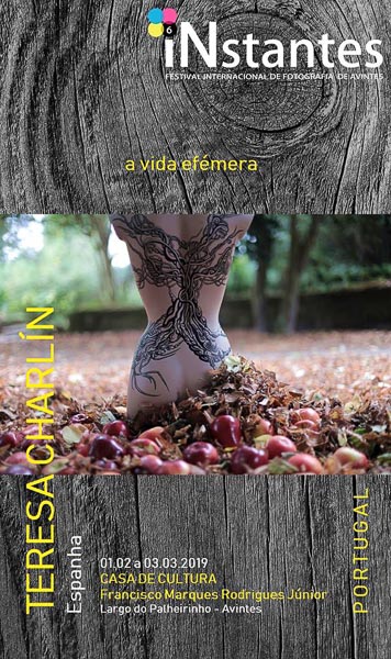 50271409_1571256122977843_6061411607391502336_n