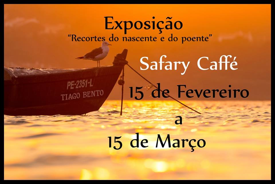 51908720_2156247147729039_7151392994795454464_n