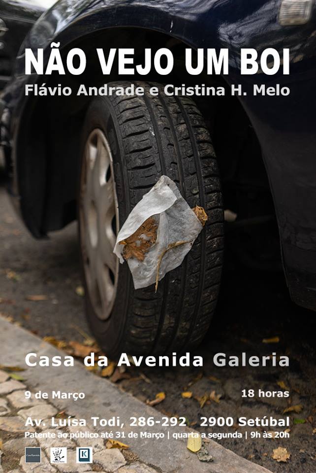 52856680_2145338678846450_2620002098636390400_n