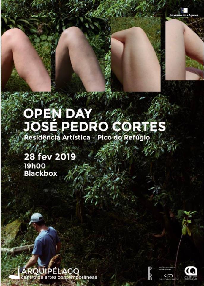 53179294_10157216256573319_1753799249067245568_n