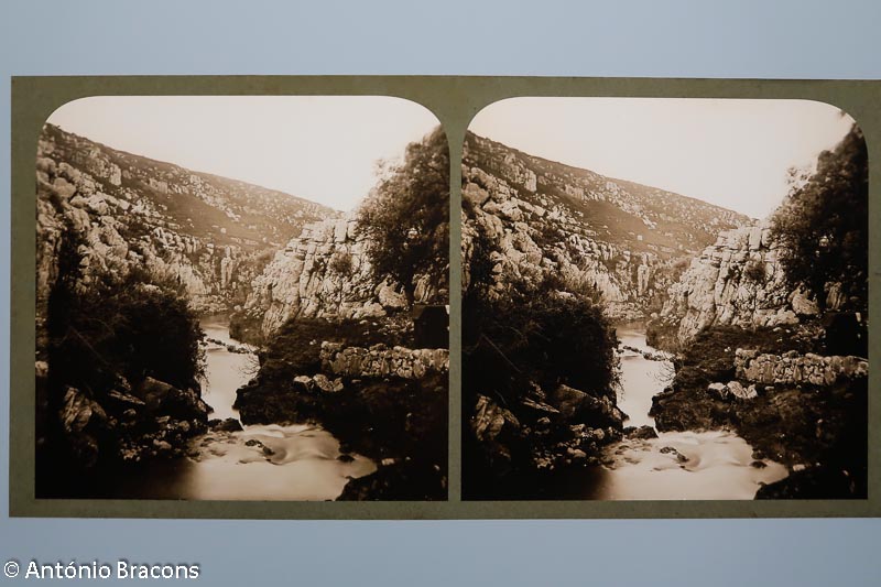 mnac-carlos_relvas-201812-fot_ant_bracons (66)