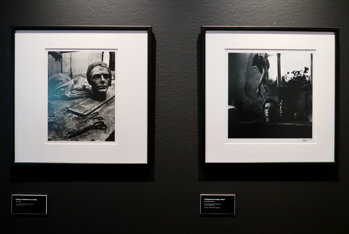 CCCascais-Ted_Witek-2019-Fot_A_Bracons (13)