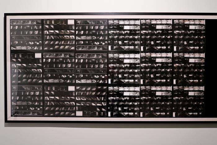 Quel Amour-2019-Fot_A_Bracons (15)