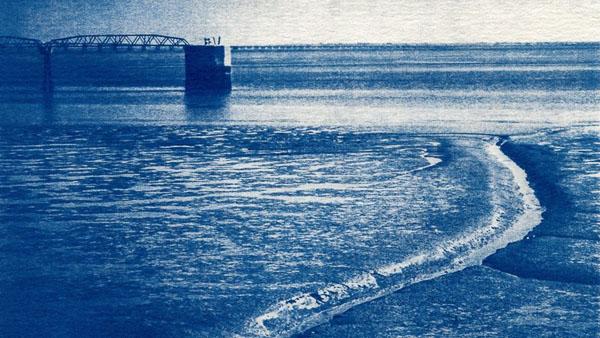 56631962_2153376828092282_3212039486141628416_n