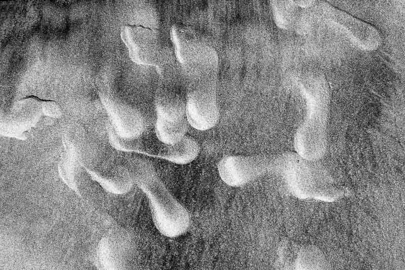 CAOS_©Elsa_Figueiredo