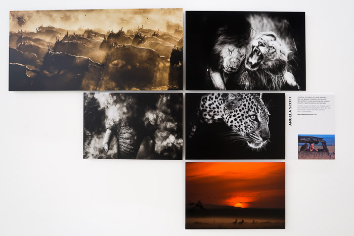 190504-Coimbra-EI2019C-Casa_Cultura-Embaix_Canon-Fot_A_Bracons (101)