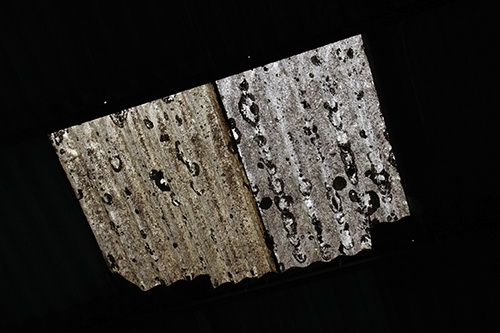 Diana-Carvalho_ejzIwpg_width-640