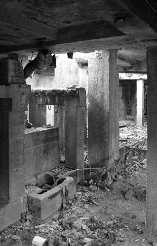 Jiôn Kiim & Artur Leão