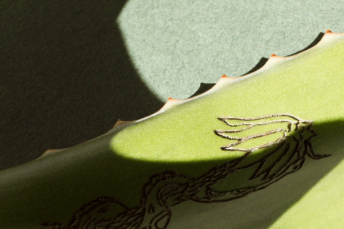 Lisa-Hoffman_01_AOeoFx0_width-640