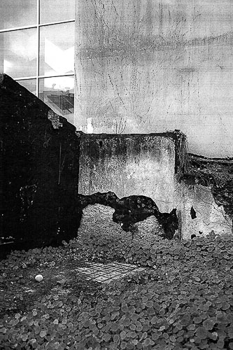 NicoleTsangaris_Foto1_width-640