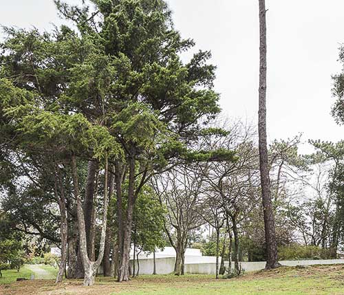 VSC_sergio_rolando_Continuo_001-1_width-640