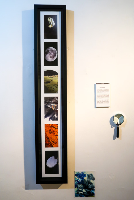 Coop_Diferença-de passagem-2019-FotA_Bracons (1)