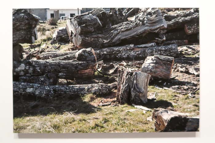 Coop_Diferença-de passagem-2019-FotA_Bracons (11)