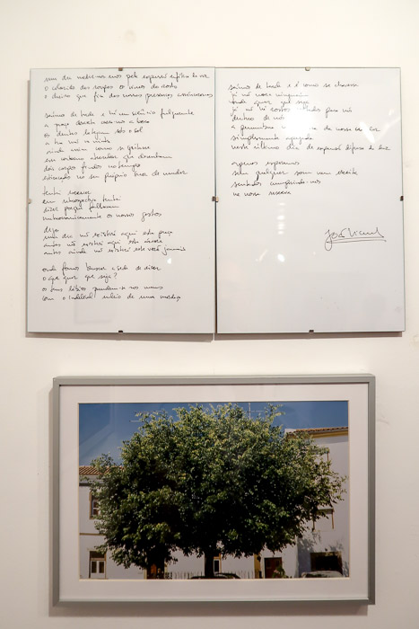 Coop_Diferença-de passagem-2019-FotA_Bracons (7)