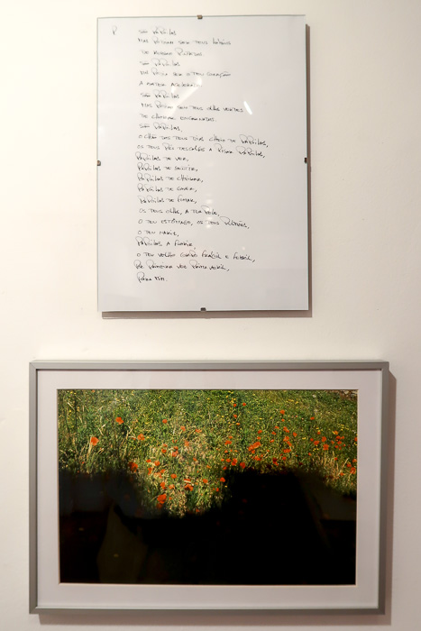 Coop_Diferença-de passagem-2019-FotA_Bracons (8)