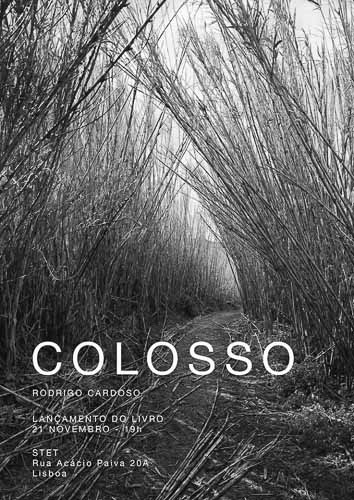 77094662_2997071547022960_4458615703280287744_o