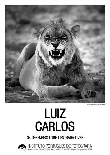 77247051_2841750392524310_7333148533224112128_o