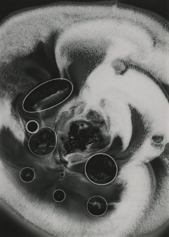 Juliana Campos, Sem título