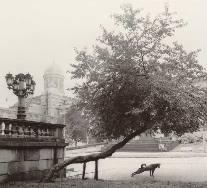 PENTTI SAMMALLAHTI (2)