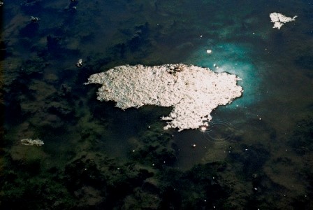 Rita de Almeida Leite, Luz Oblíqua, 2018-2019