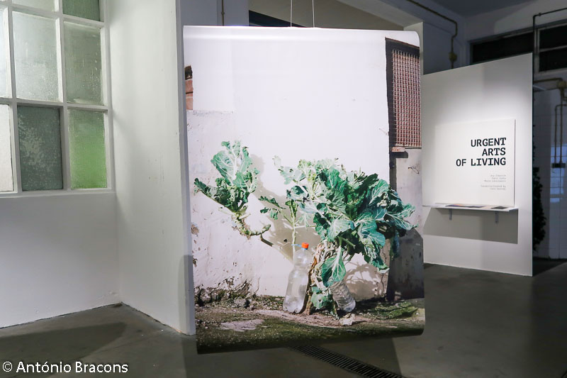 191204-Parallel Lisbon-Fot_A_Bracons (107)