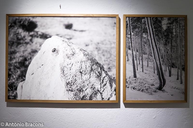 191204-Parallel Lisbon-Fot_A_Bracons (127)