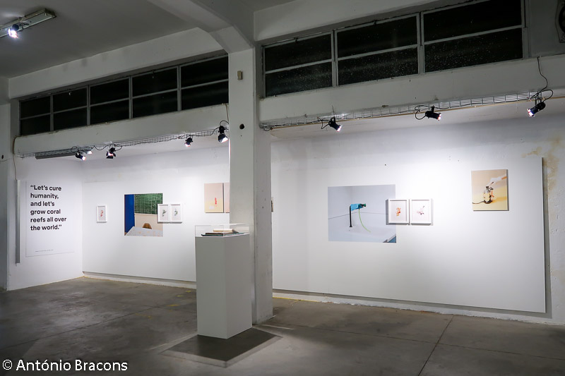 191204-Parallel Lisbon-Fot_A_Bracons (129)