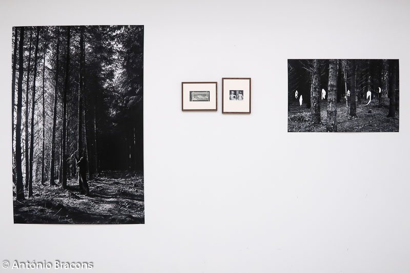 191204-Parallel Lisbon-Fot_A_Bracons (182)